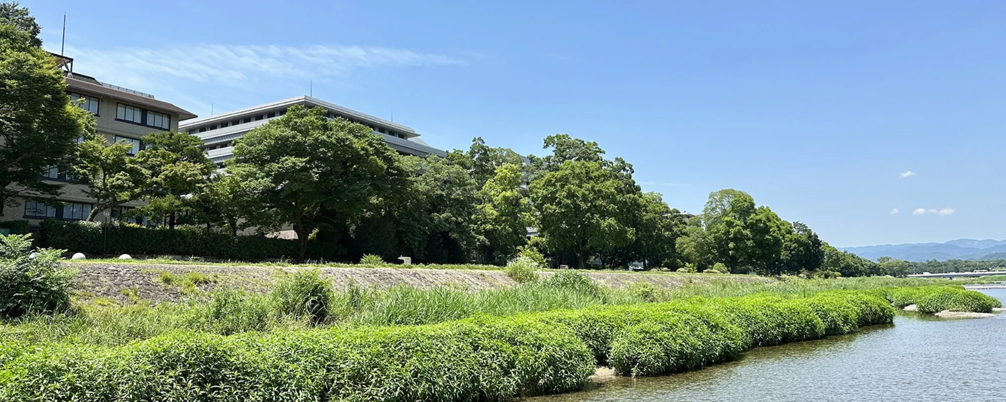 KAMOGAWA - 鴨川 -